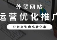 外贸网站建设海外推广_(外贸网站seo推广教程)